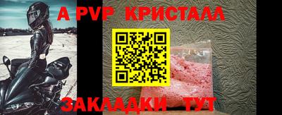 прущие грибы Малгобек