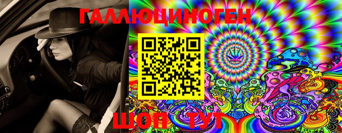 Галлюциногенные грибы мухоморы Великие Луки